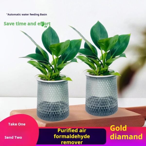 【Buy 1 Get 1 Free】 Philodendron Potted Plant – Indoor Air Purifying Greenery, Elegant Desktop Decor, Office Evergreen (Includes Pot)